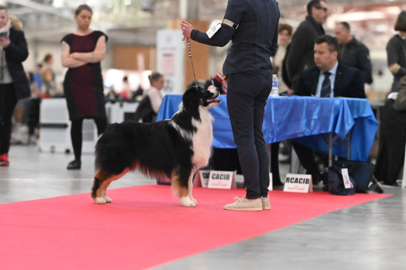 Publication : du chemin de la belle etoile 