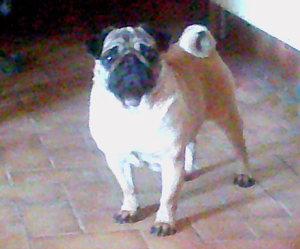 Publication : Nostalgie de France Auteur : Nostalgie de France