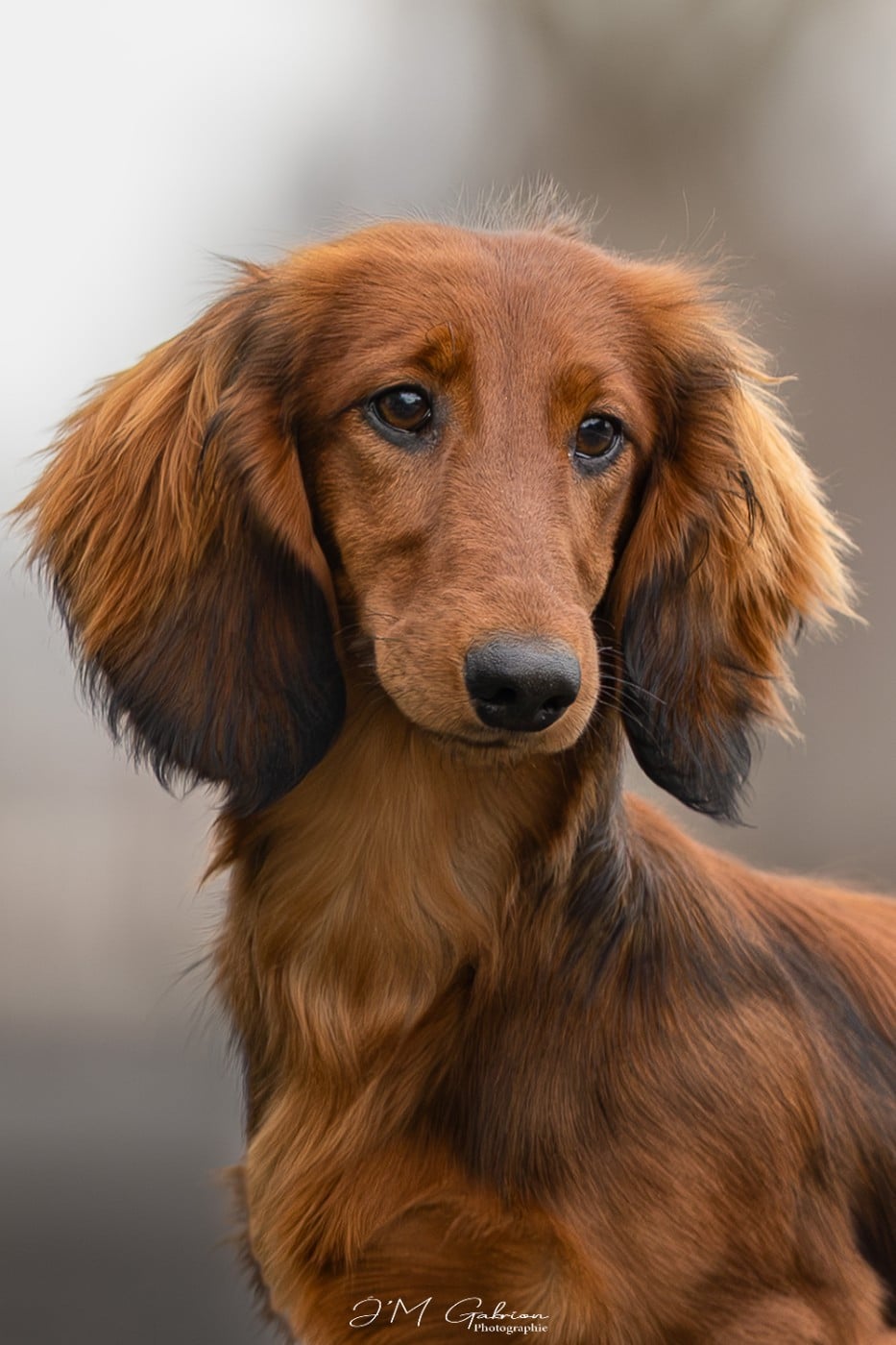 Publication : Of Moonlight Blue 