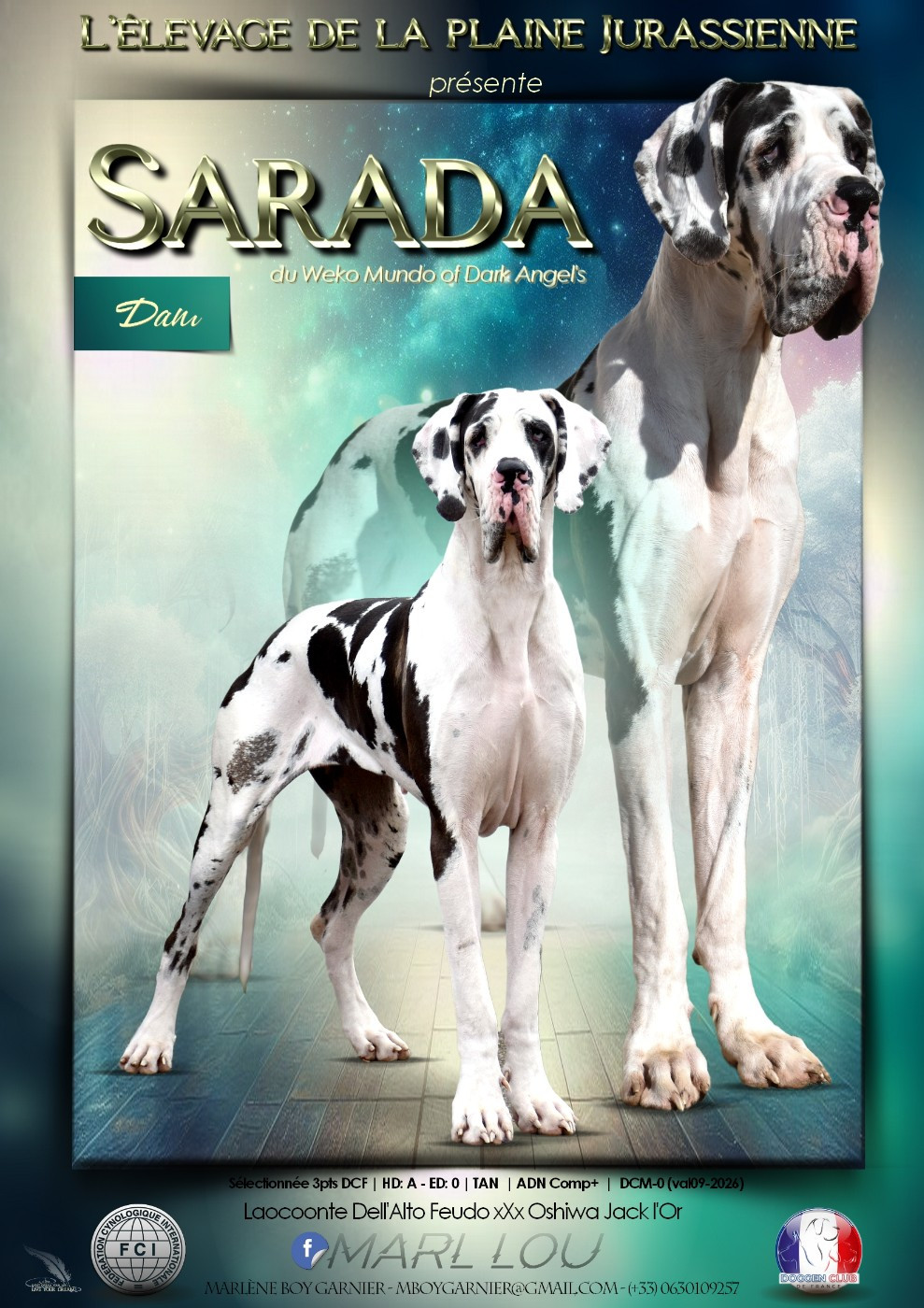 Sarada Du Wekomundo Of Dark Angel's