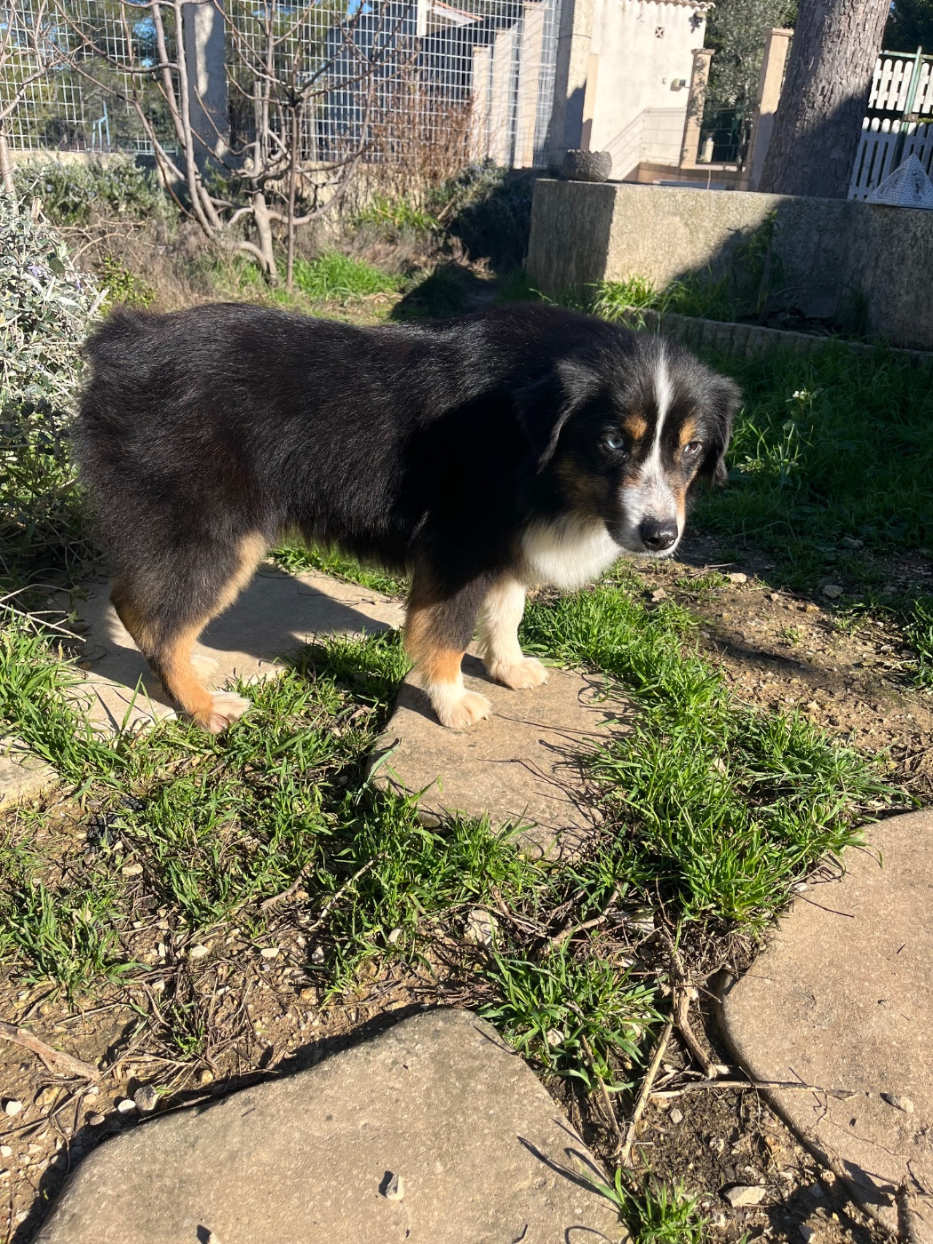 Publication : Des Eternelles Vaykaria 