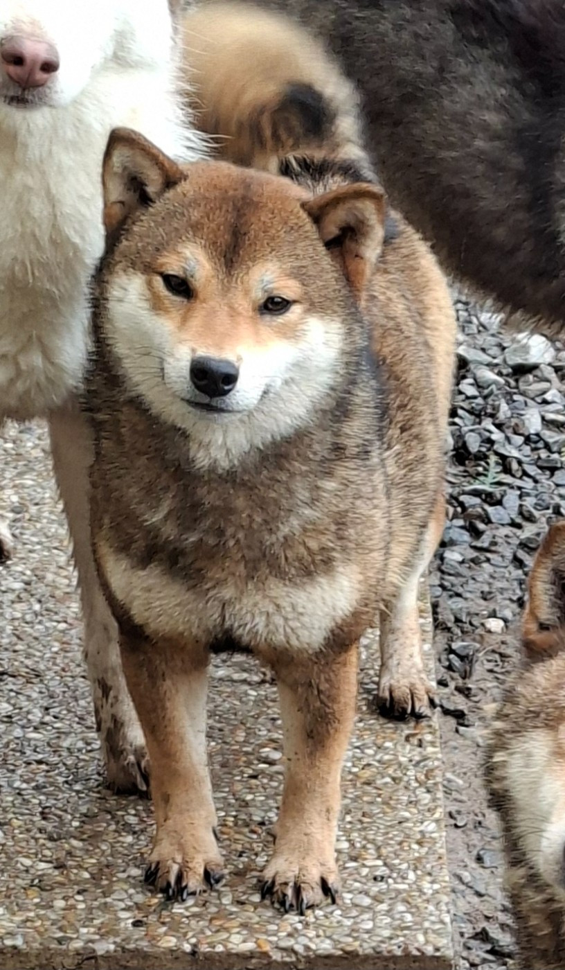 Publication : of Skystaff Starbuck Auteur : ab