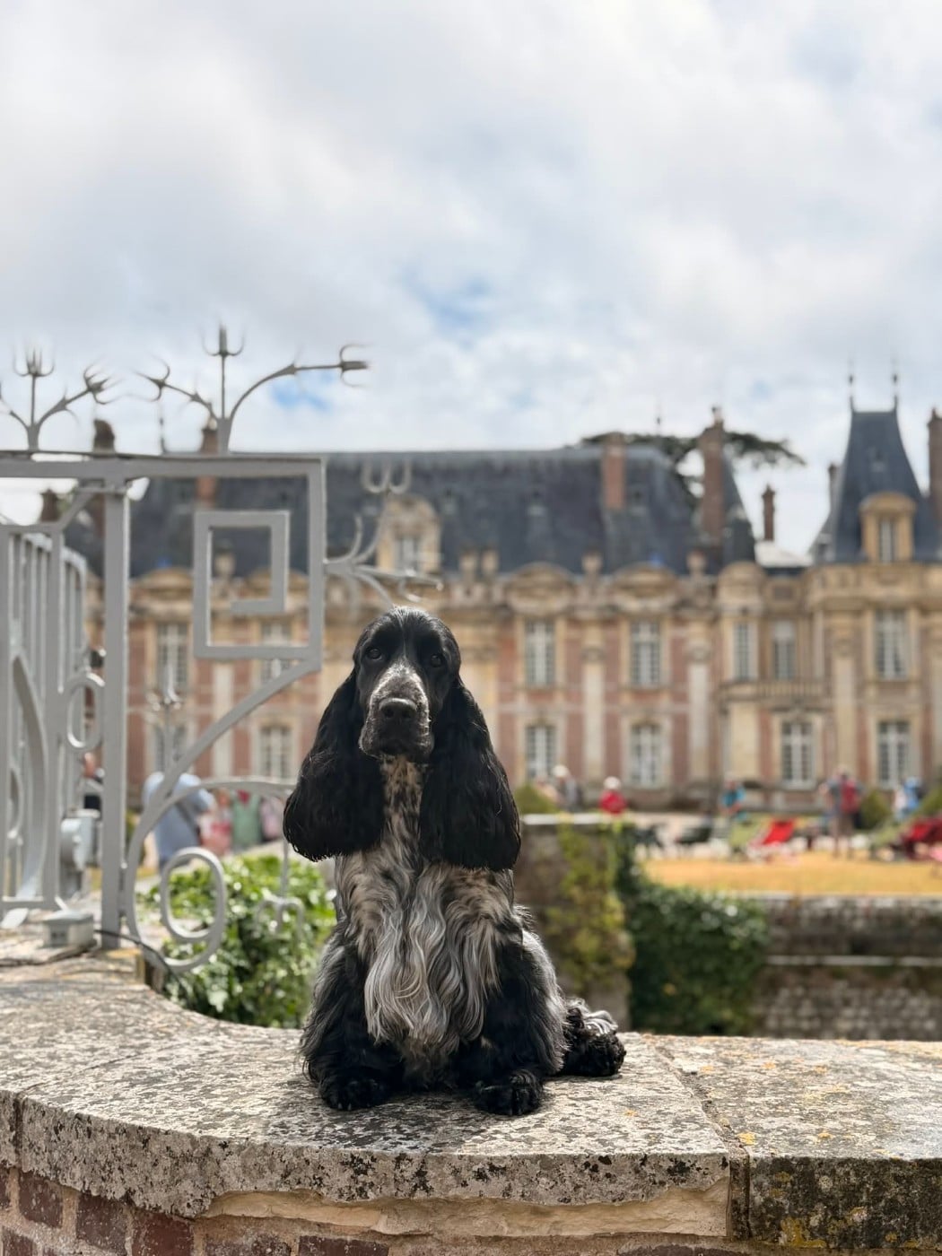 Publication : Des Merveilles D'orion  