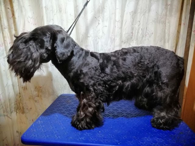 Publication : Des hauteurs de la sole Auteur : Annie Montanes