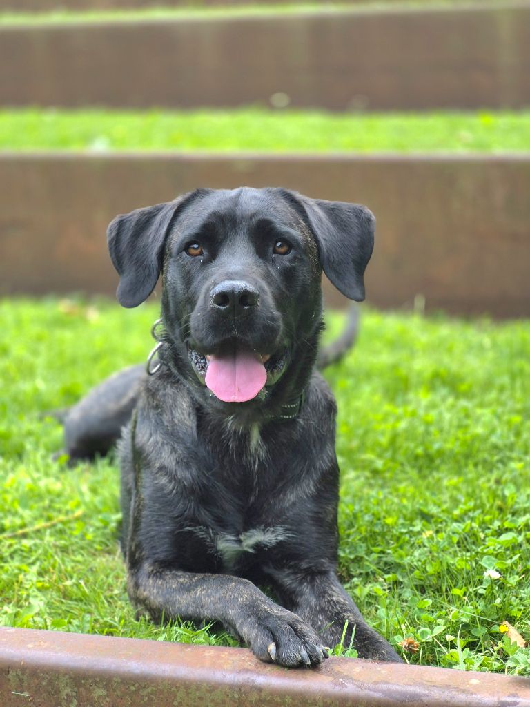 Publication : des sources de Boisloup Auteur : TESTELIN CORINNE