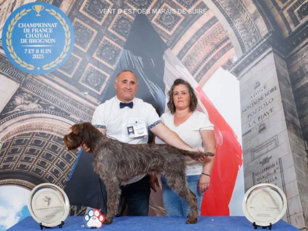 Publication : des Marais de Suire 