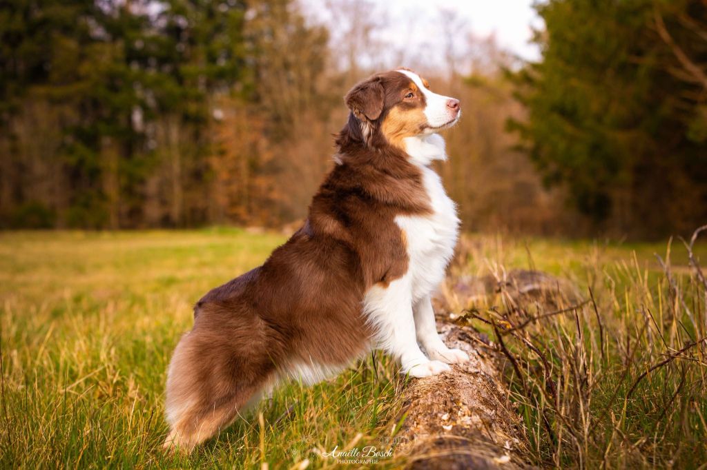 Publication : De La Horde Des Tutus Fous 