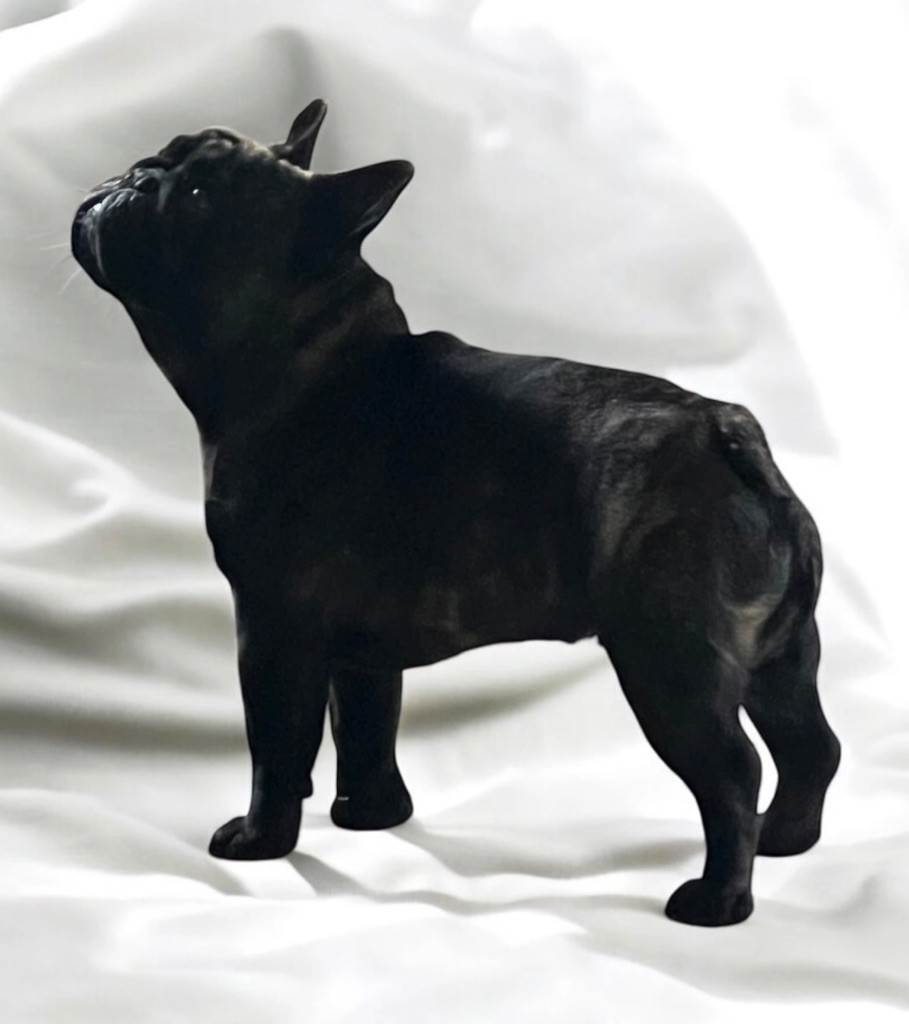 Publication : Des Merveilles Du Monde De Nortawa 