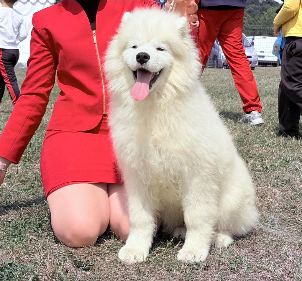 Publication : Du Massif De l'Esterel 