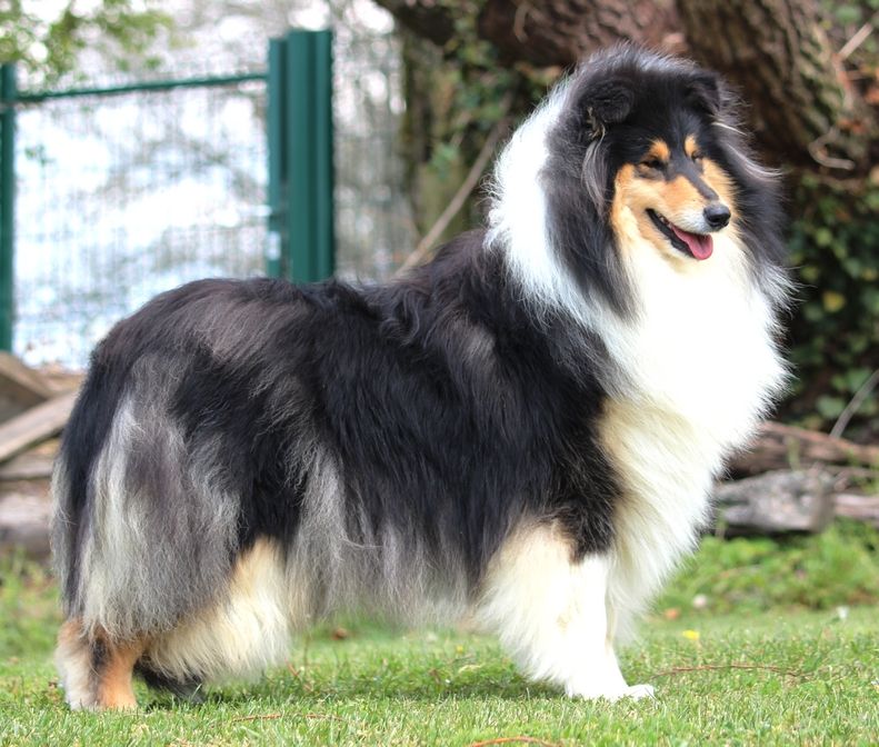 Publication : Du Clos De Seawind Auteur : Giles MERVANT