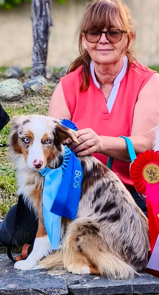 Publication : Trésors de Kallisté Auteur : Ceccarelli Cassandra 