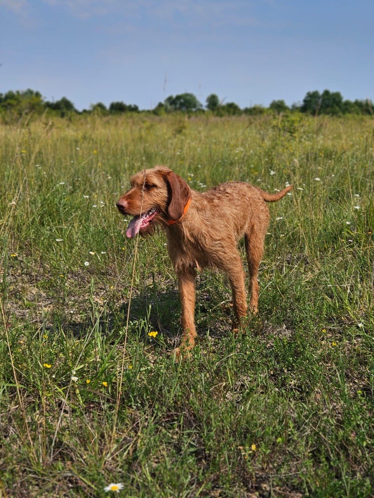 Publication : (Sans Affixe) 