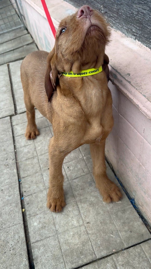 Publication : (Sans Affixe) 