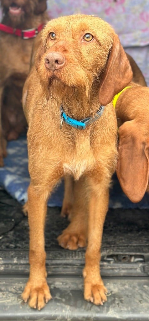 Publication : (Sans Affixe) 