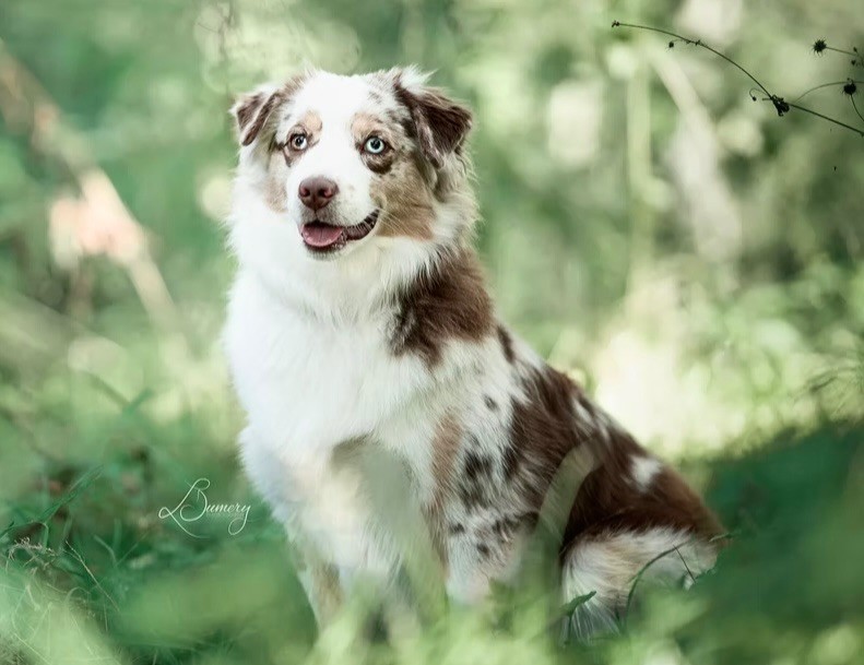 Racontes moi une histoire De l'Univers d'Evine