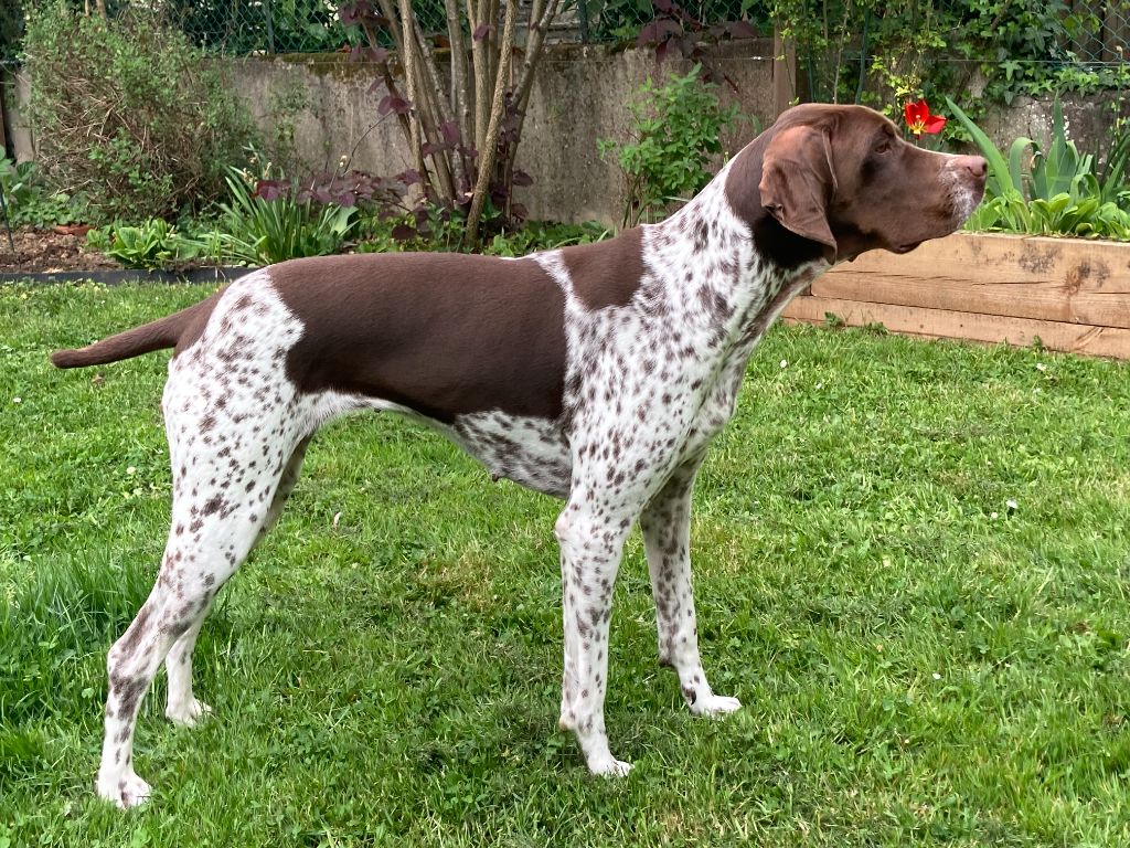 Publication : Du Val De L'Ursine Auteur : StÃ©phane Cazes