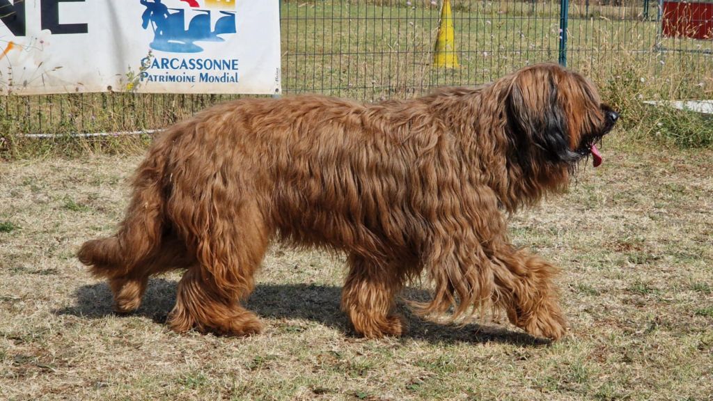 Publication : de Lady Fontaine la Belle 