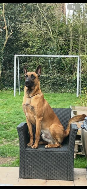 Publication : PIERRICK ZEGHERS Auteur : pierrick