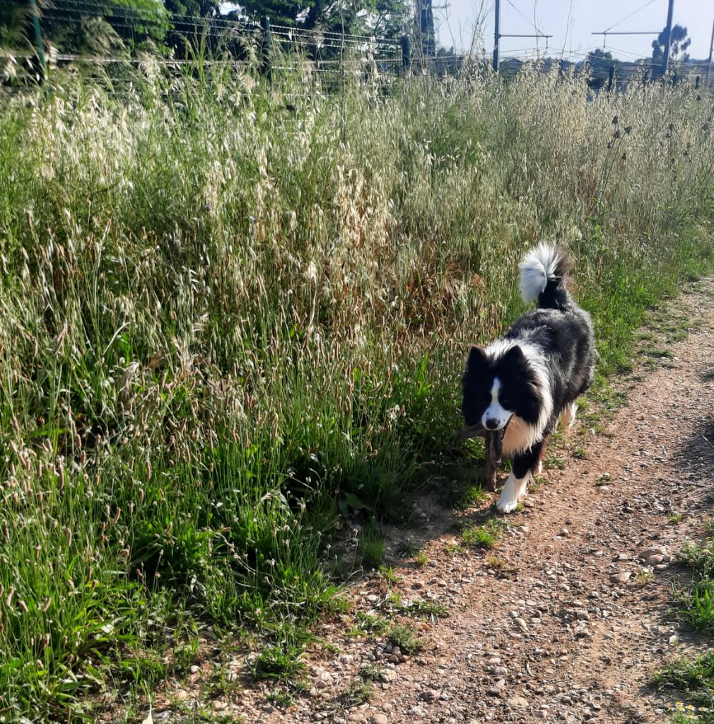 Publication : (Sans Affixe) 