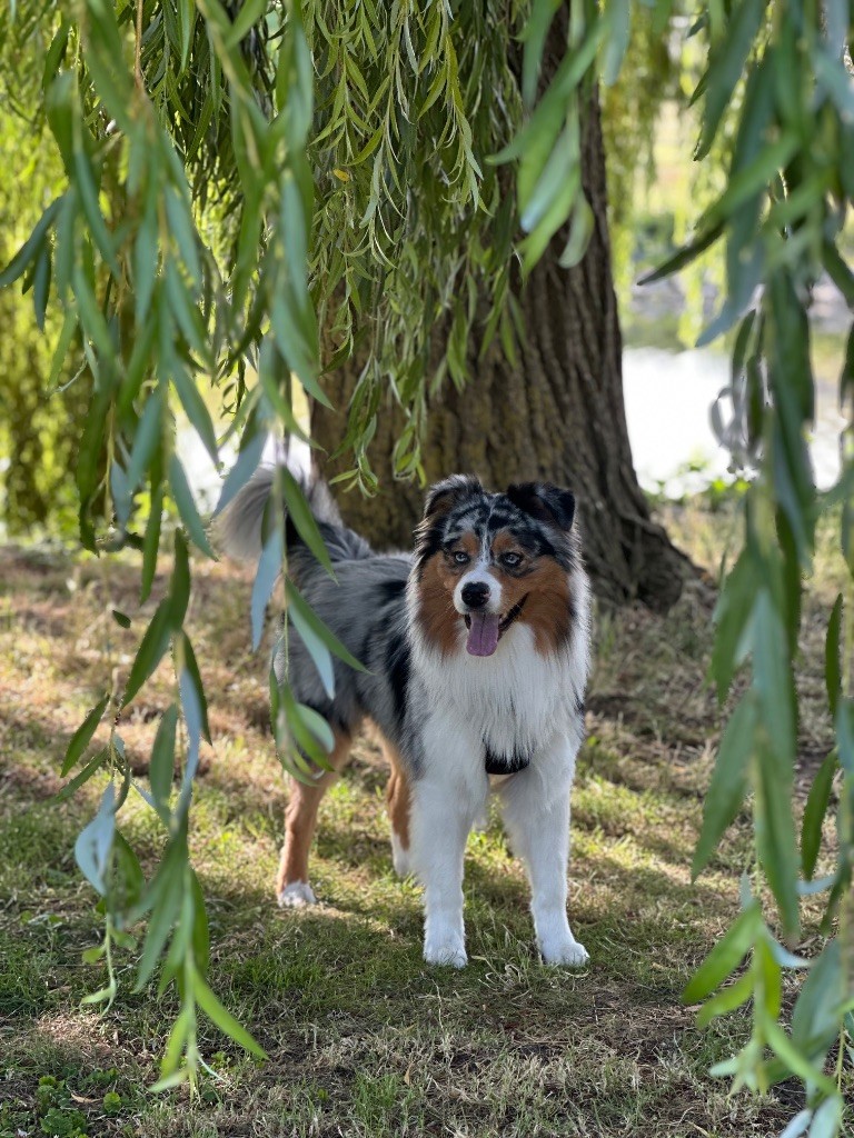 Publication : Sandra De Carvalho