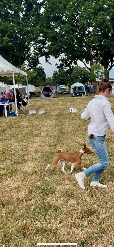 Publication : Du Domaine D’Emavina 