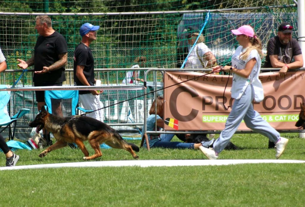 Publication : Du Val De Vaast 