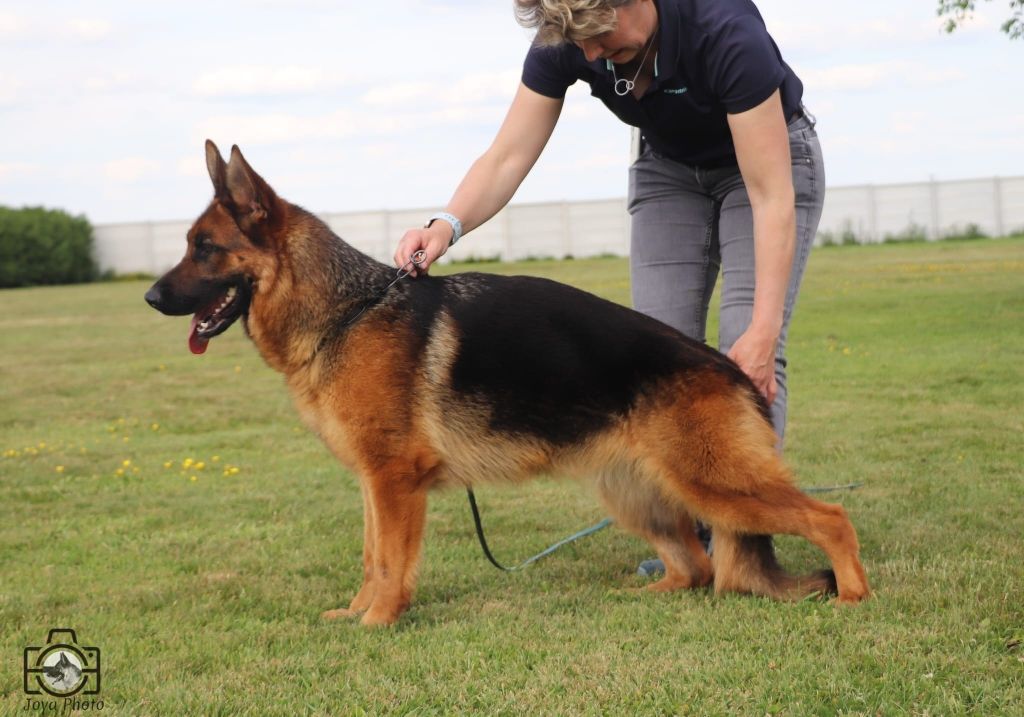 Publication : Du Buisson Chardin Auteur : Buisson Chardin / Joya Photos