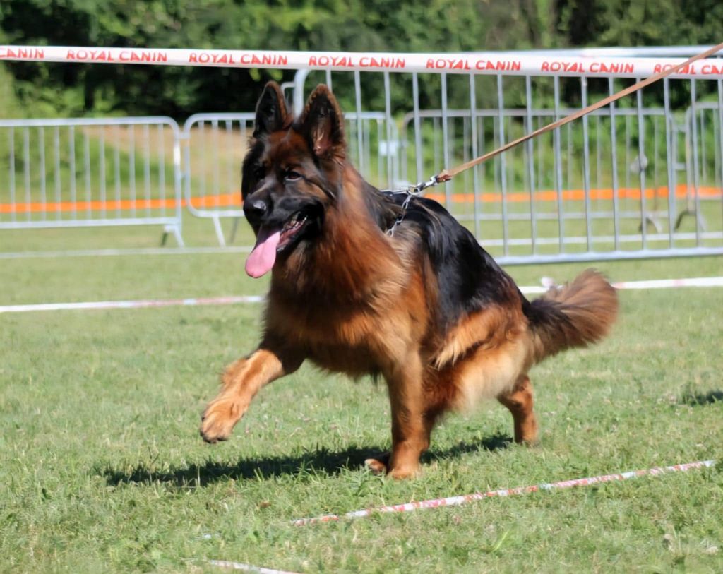 Publication : Des Trois Lieux 