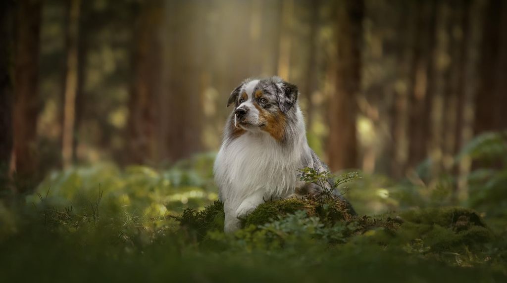 Publication : De La Cuvée Sacrée