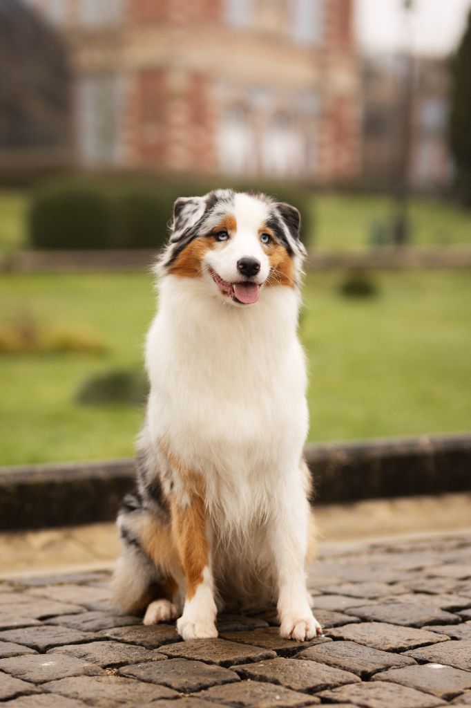 Publication : De La Cuvée Sacrée