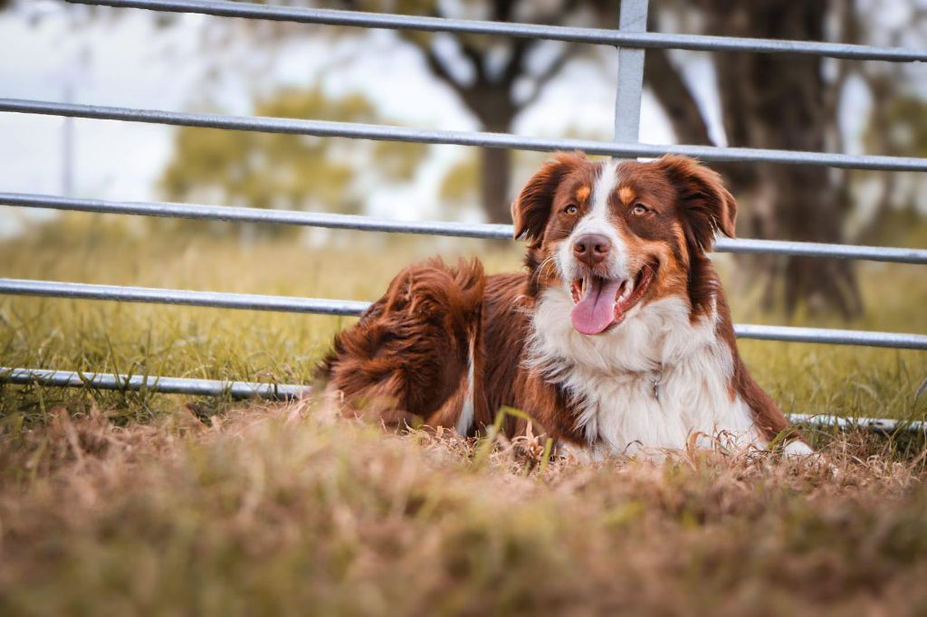 Publication : Pearls'Love Lee Auteur : christelle EVRARD