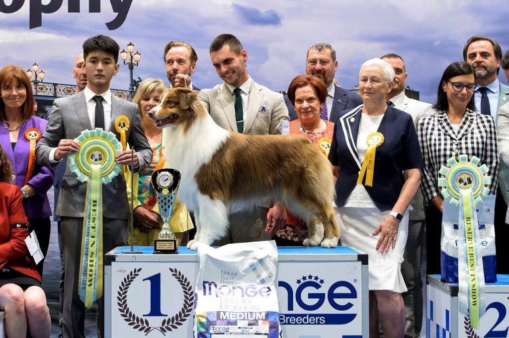 Publication : des Terres De Khairyaca 