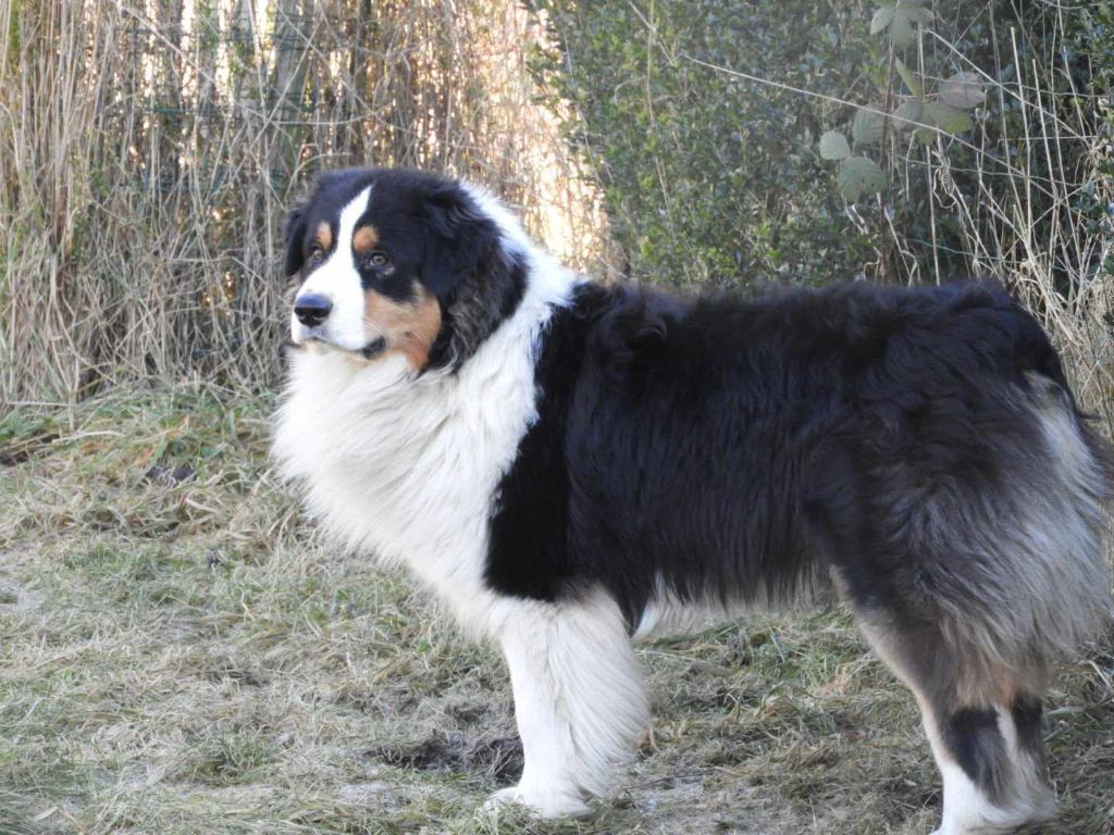 Publication : Cyjuan 