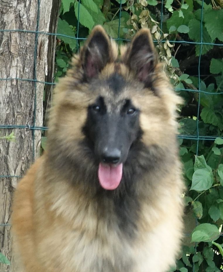 Publication : Du Domaine De L'avenir