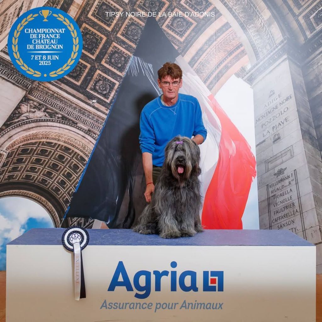 Publication : De La Baie D'adonis 