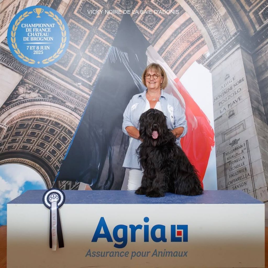 Publication : De La Baie D'adonis 