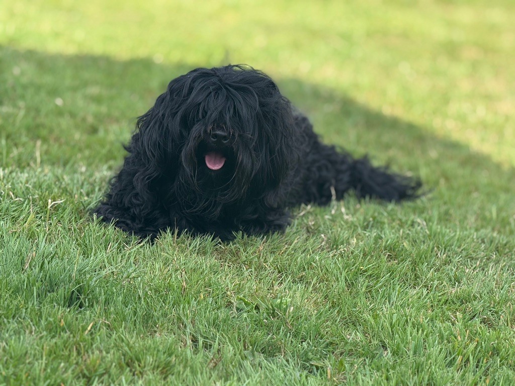 Publication : Des Terres De L'Avesnois 