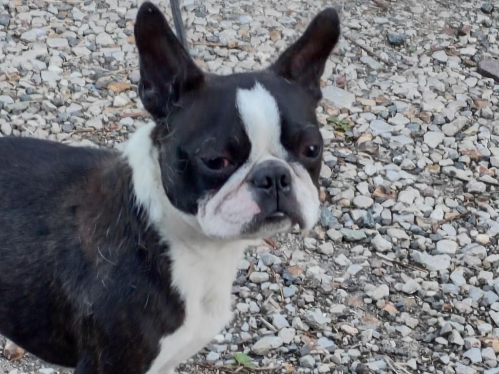 Publication : Du grand fresnoy 