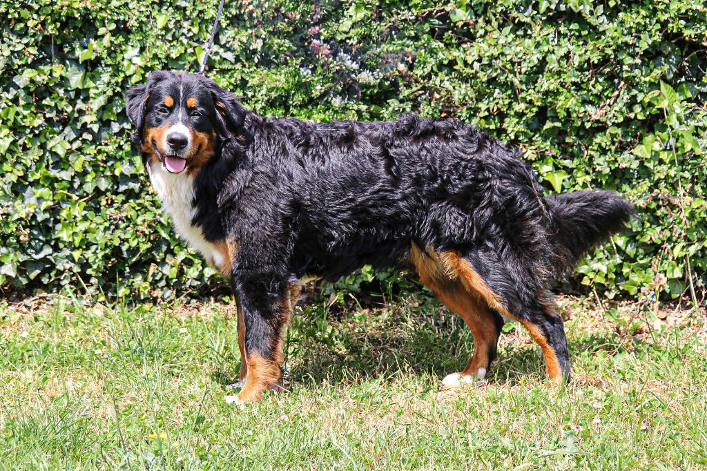 Publication : du Domaine de Vaya d'Espoir 