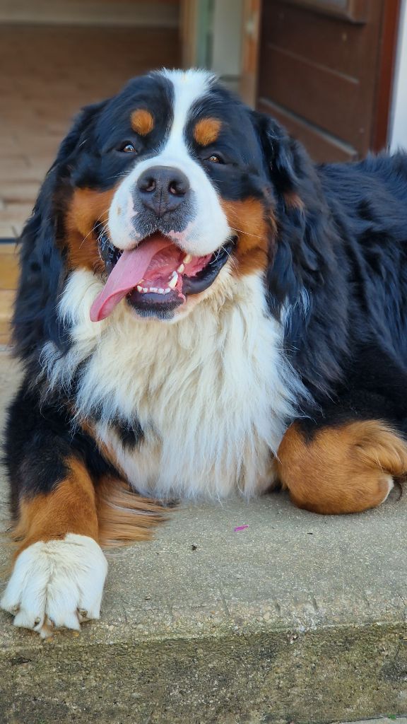 Publication : La vallée de l'echiquier