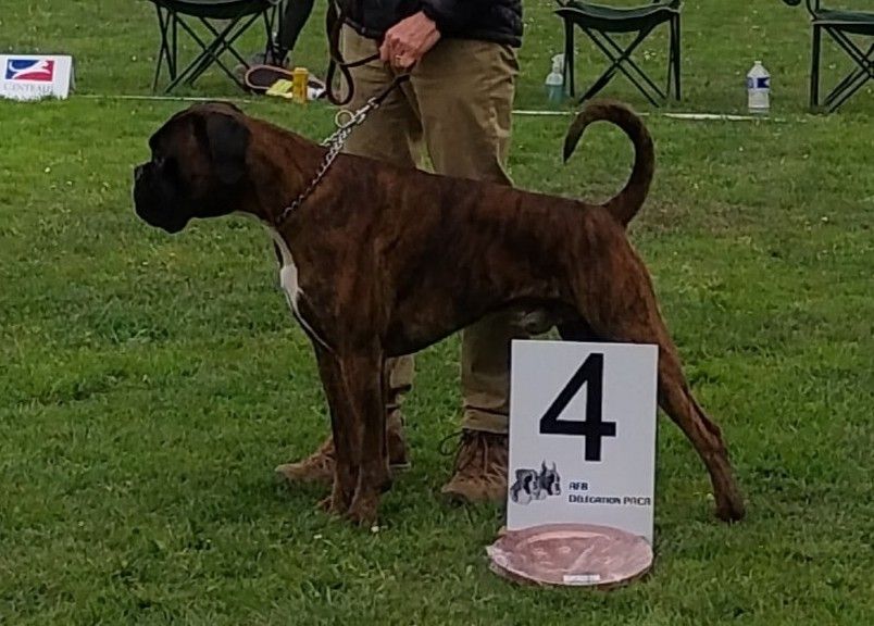 Publication : De La Vigne Du Barrou 