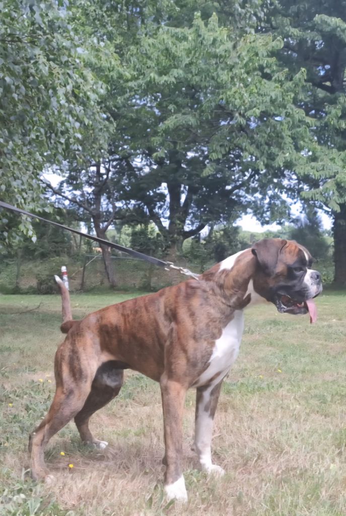 Publication : Du Moulin d'Assit