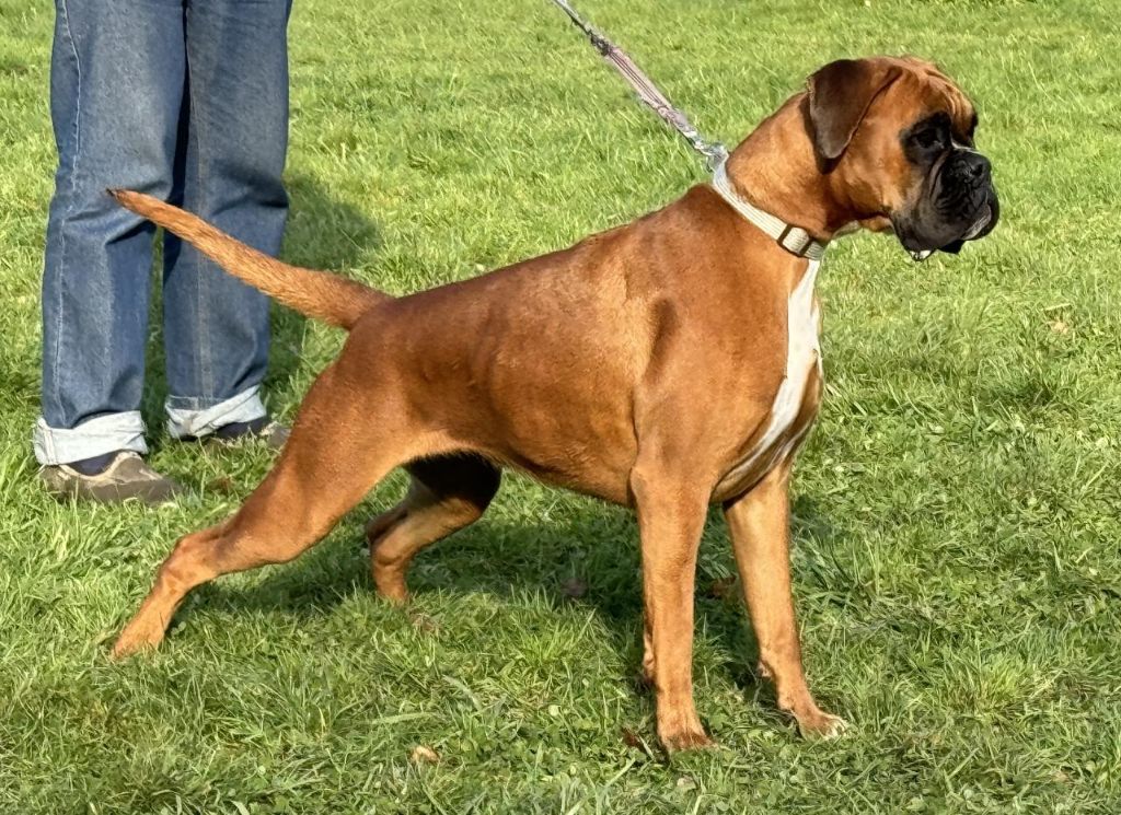 Publication : Des gorges d'heric 