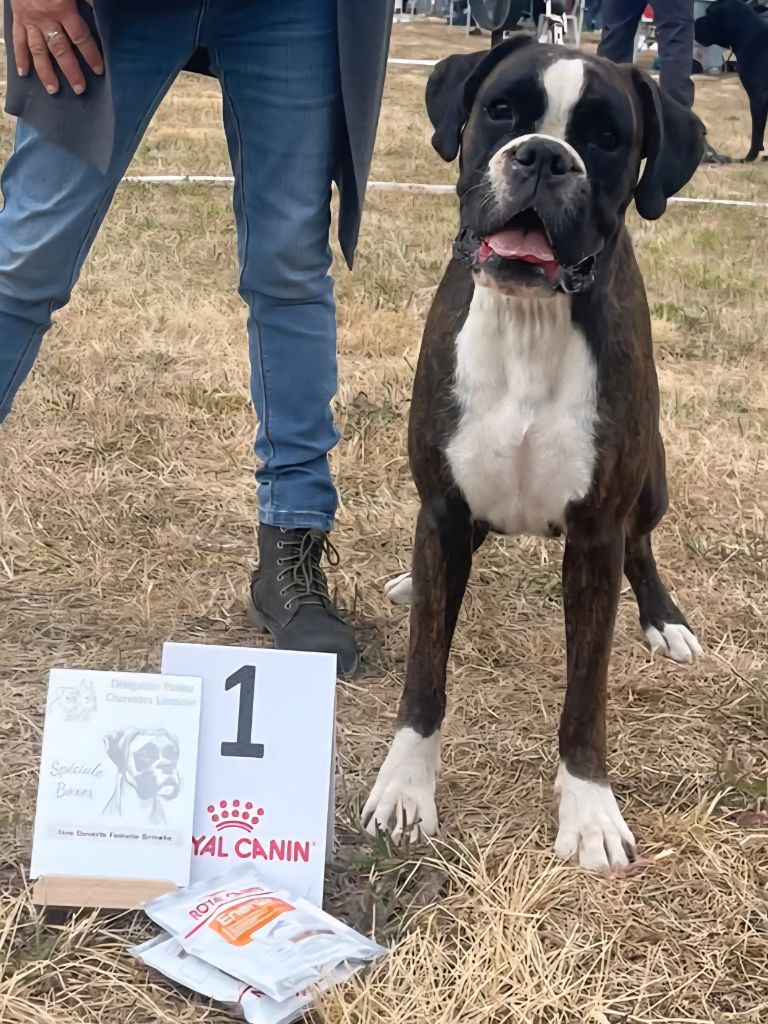 Publication : Du Moulin d'Assit 