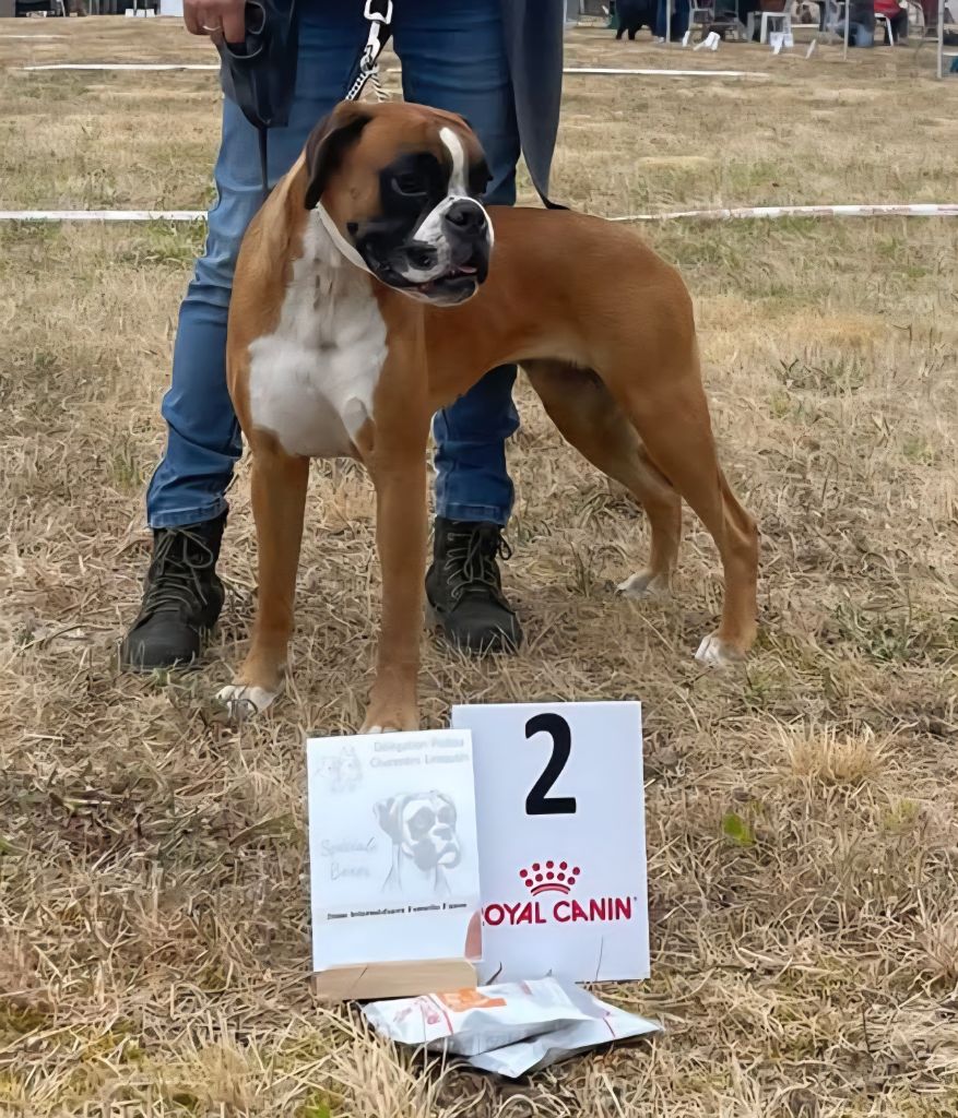 Publication : Du Moulin d'Assit 