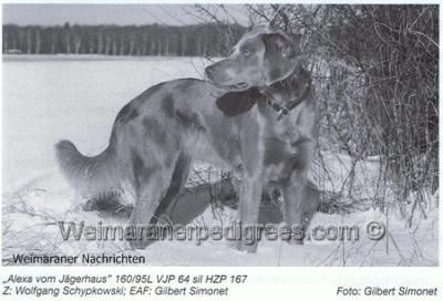 Alexa vom jägerhaus