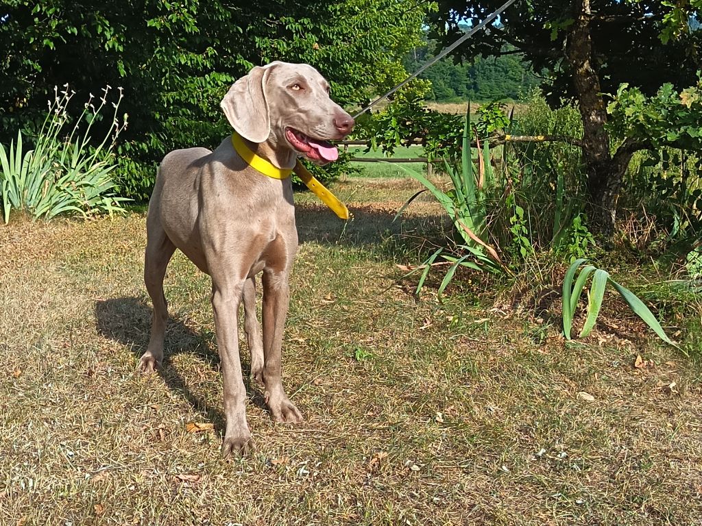 Publication : de la Cascade des Fayes 