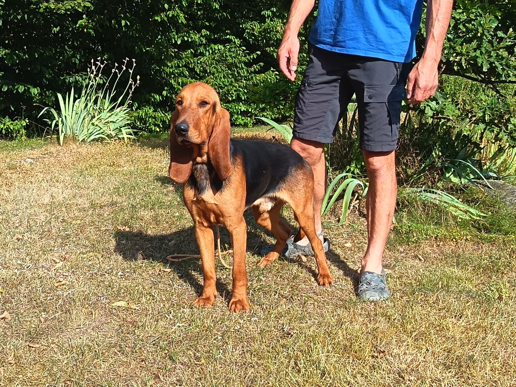 Publication : de la Cascade des Fayes 