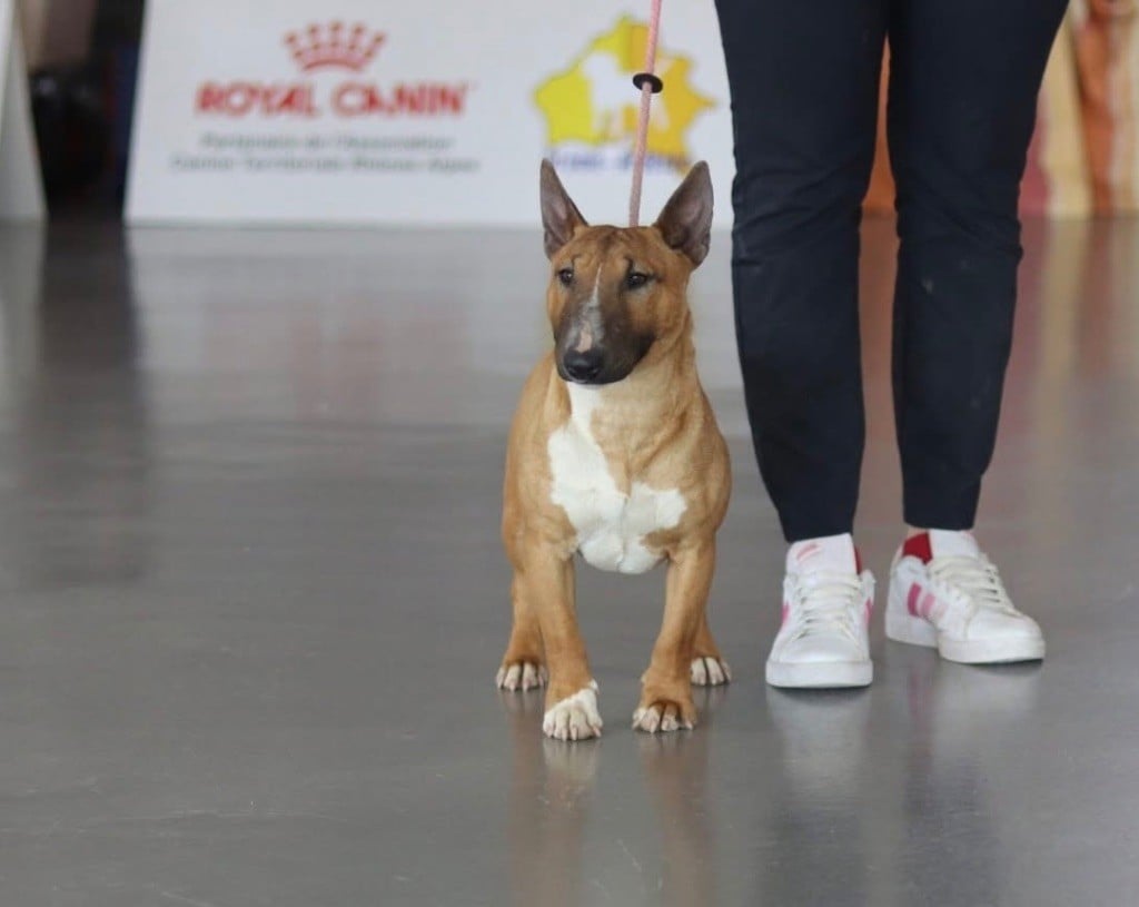 Publication : Des Minis De Ryosie 