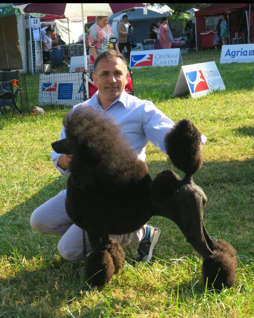 Publication : Fabulous Black Dream's 